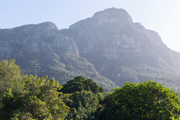 Botanical garden in Cape Town
