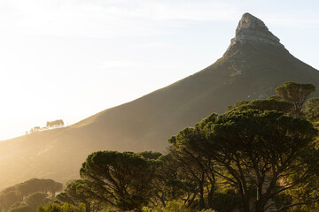 Signal Hill on the sunset