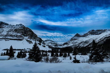 Black and white view of snow-covered mountain and pine forest