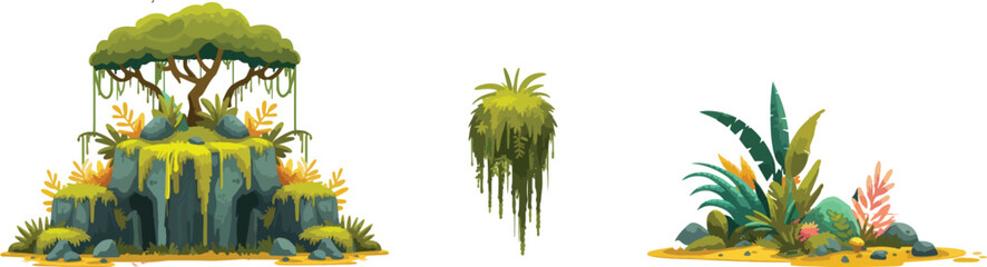 grass and  plant on white background