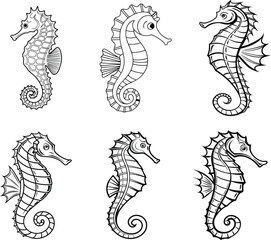 Seahorse Vector Line Art | Black and White Illustration on Blank Background


