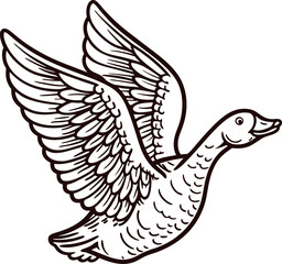 Engraved wild goose in flight with extended wings, detailed vintage hand drawn animal illustration