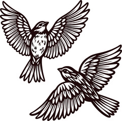 Two hand drawn flying swallows with detailed feathers vintage engraved black and white illustration