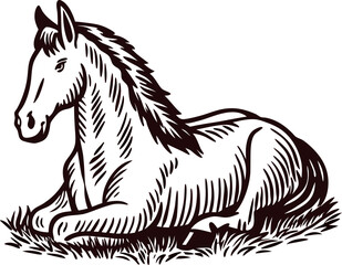 Fototapeta premium Hand drawn illustration of a resting horse lying in grass, vintage engraving style, black and white sketch