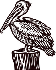 Hand drawn pelican perched on wooden post vintage black and white engraved bird illustration