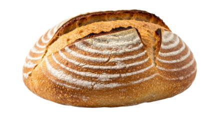 bread on white background isolated PNG