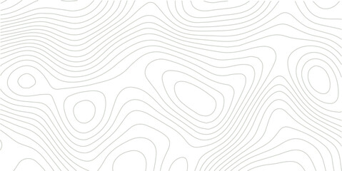 White wave paper curved reliefs abstract background, Topography map background, Abstract topographic contours map background. Vector geographic contour map