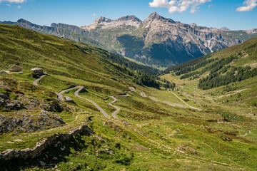 Obraz premium Alpine Wildflowers in Bloom along Splugen Pass Trail: Scenic View of Pizzo Tambo and Surettahorn Peaks Framed by Verdant Valleys and Clear Blue Sky