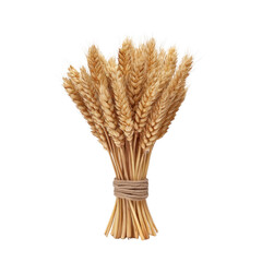 Fototapeta premium Bunch of Dried Wheat Stalks Bundled Together with Natural Twine for Rustic Decor and Agricultural Themes Transparent background or png