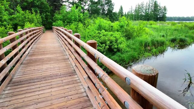 Scenic View of Mississippi River Headwaters at Lake Itasca