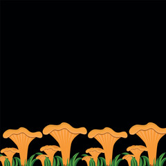 Fototapeta premium Frame background with mushrooms and chanterelles in the grass at the bottom of the frame, vector illustration, mushrooms on a black background. Hand-drawn botanical drawing in vector.