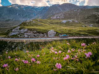 Rocky Alpine Slopes with Grassy Trails and Rugged Peaks at Splugen Pass: Serene Mountain Landscape...