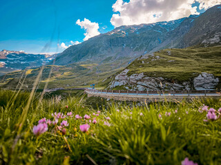 Rocky Alpine Slopes with Grassy Trails and Rugged Peaks at Splugen Pass: Serene Mountain Landscape...