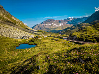 Rocky Alpine Slopes with Grassy Trails and Rugged Peaks at Splugen Pass: Serene Mountain Landscape...