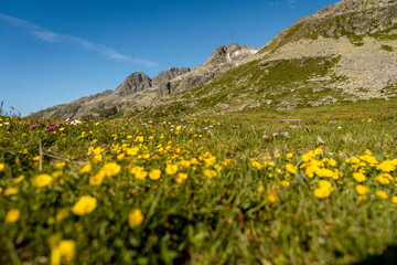 Rocky Alpine Slopes with Grassy Trails and Rugged Peaks at Splugen Pass: Serene Mountain Landscape...
