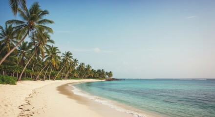 Palm Tree Lined Tropical Beach with Turquoise Water on Sunny Day