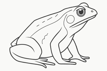 Vector Frog Drawing in Black Ink