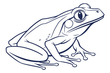 Outlined Frog Vector Graphic