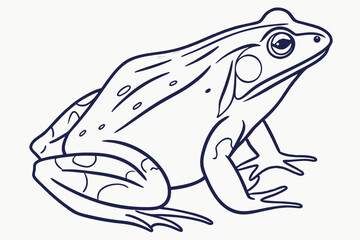 Frog Illustration – Outline Style