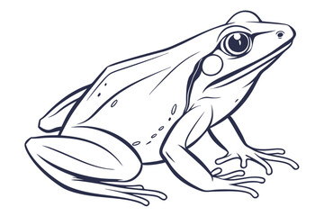 Outlined Frog Vector Graphic