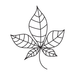 Doodle chestnut leaf on isolated white background.Vector outline plant element.