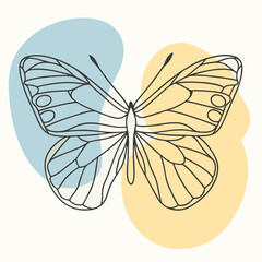 Elegant Line Art Butterfly Illustration Pastel Abstract Background Minimalist Nature Design Graphic