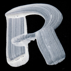 White Letter R draw in black background. JPG.