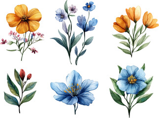 set of colorful flowers