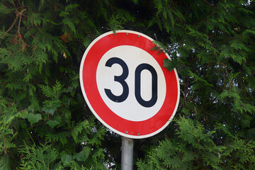 Traffic Speed Limit Sign Displaying 30 Amidst Green Foliage. Speed limit road sign with 30...