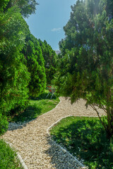 Garden landscape design with pathway in garden and footpath in picturesque summer park and staircase in backyard,Paving stones on floor in park,space for text.
