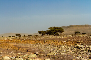 A dry, flat Hamada-type desert in the foothills of the Atlas Mountains. Morocco, Africa