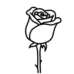 Rose line art illustration on white background, flower outline