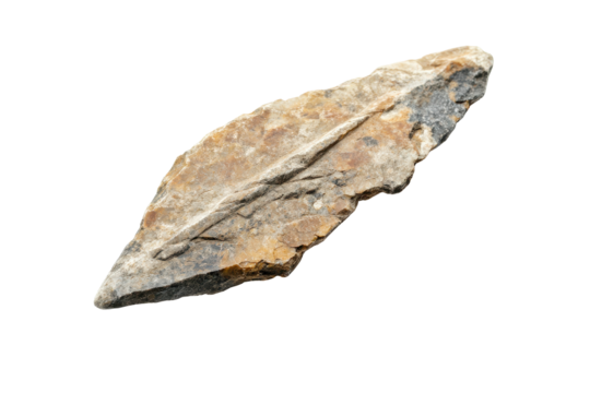 Primitive stone arrowhead showcasing intricate features, found in an archaeological site dating back thousands of years, representing early human craftsmanship and tool-making techniques