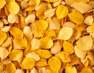 yellow, autumn leaves on the ground background AI generated