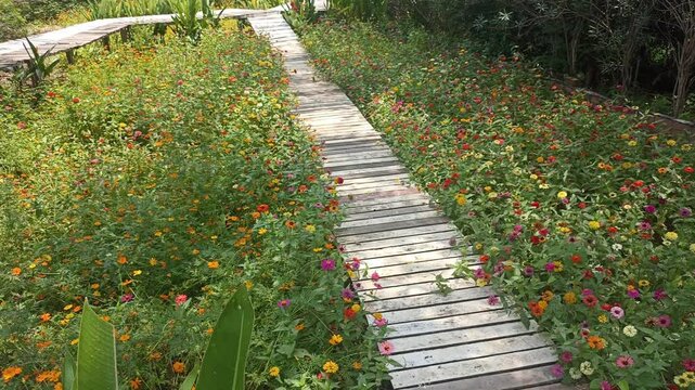 walkway pathway in flower garden park