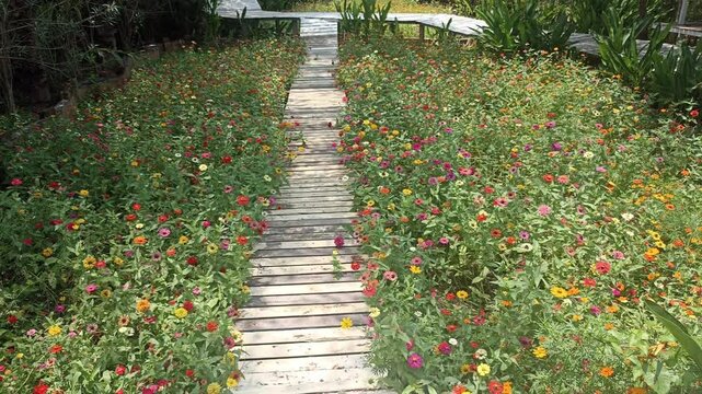 walkway pathway in flower garden park