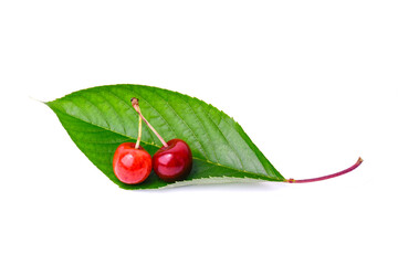 Two fresh cherries lie on a large green leaf on a white background. Minimalistic summer composition...
