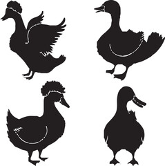 a set of duck silhouette.