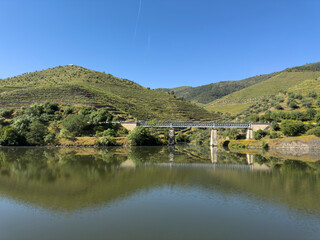 Fototapeta premium Terraced vineyards in Douro Valley, Portugal