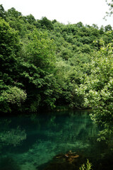 Still turquoise water reflecting dense green forest at Krupajsko vrelo in Serbia, creating a mirror-like surface and serene atmosphere.