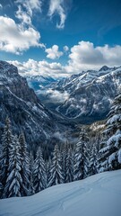 A winter landscape showing a valley with snow covered trees and mountains under a cloudy blue sky