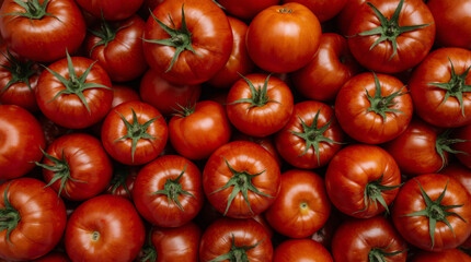 Lots of red round tomatoes with green cuttings, background texture. Ripe vegetables, freshly harvested