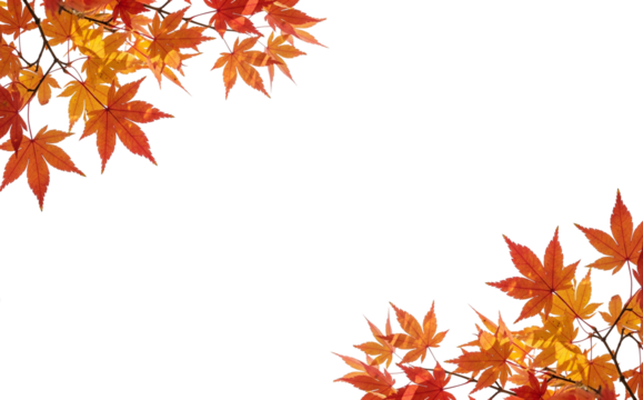 autumn leaves branch