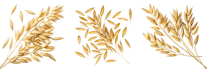  Set of Top view of oat kernels with shiny golden husks white background isolated on a transparent background