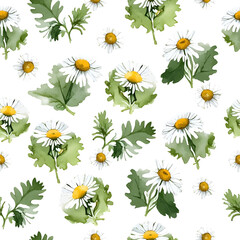 Delicate and cheerful watercolor traced seamless pattern featuring white chamomile (camomile) flowers on transparent background. This floral botanical design is ideal for fabric, packaging