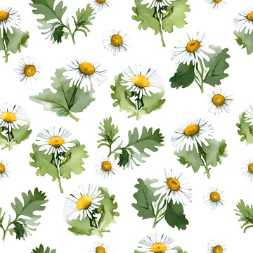 Delicate and cheerful watercolor traced seamless pattern featuring white chamomile (camomile) flowers on transparent background. This floral botanical design is ideal for fabric, packaging