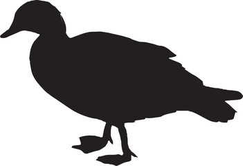a set of duck silhouette.