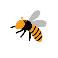 Honey bee animal illustration. Flat design bee illustration. Hand drawn bee illustration 