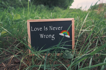 Chalkboard with the words love is never wrong written on it