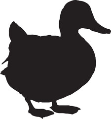 a set of duck silhouette.